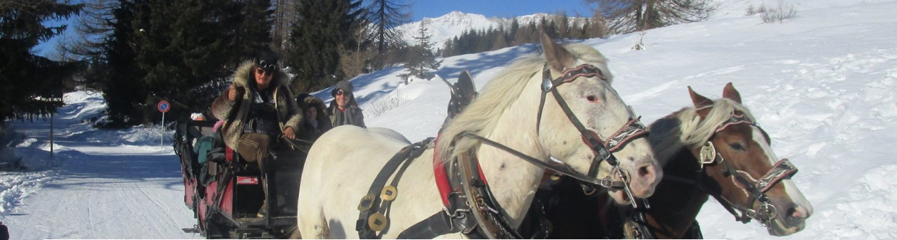 a cavallo sulla neve