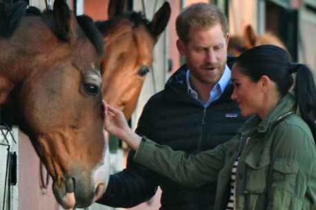 Cavalli e Royal Family