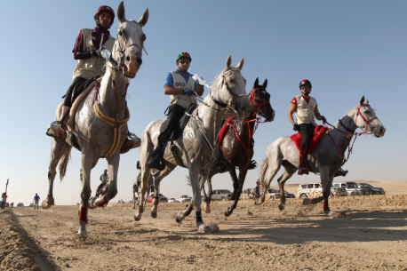 L'Endurance, in italiano, Resistenza, è uno degli sport equestri di maggior diffusione al mondo.
