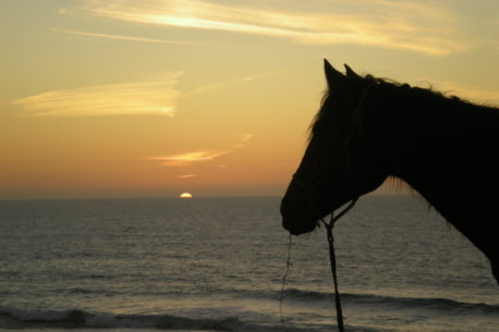 passeggiate a cavallo Agadir