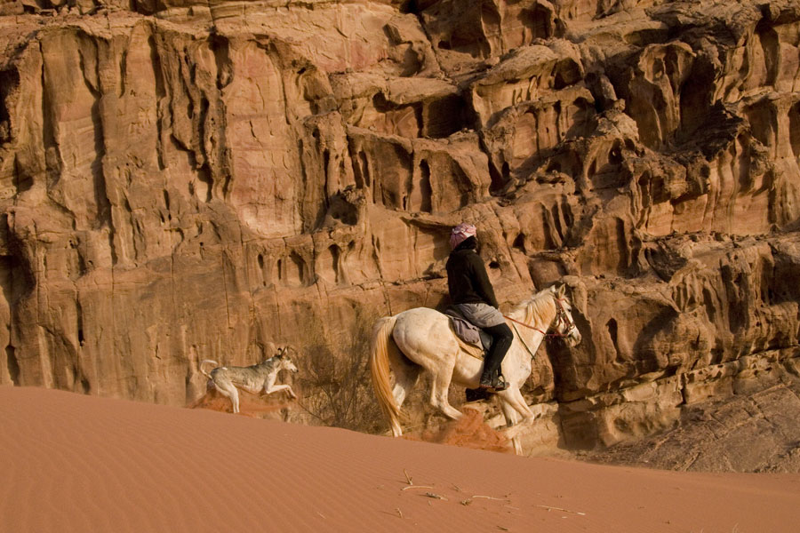 Wadi Rum a cavallo