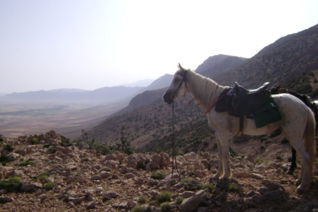 Marocco a cavallo