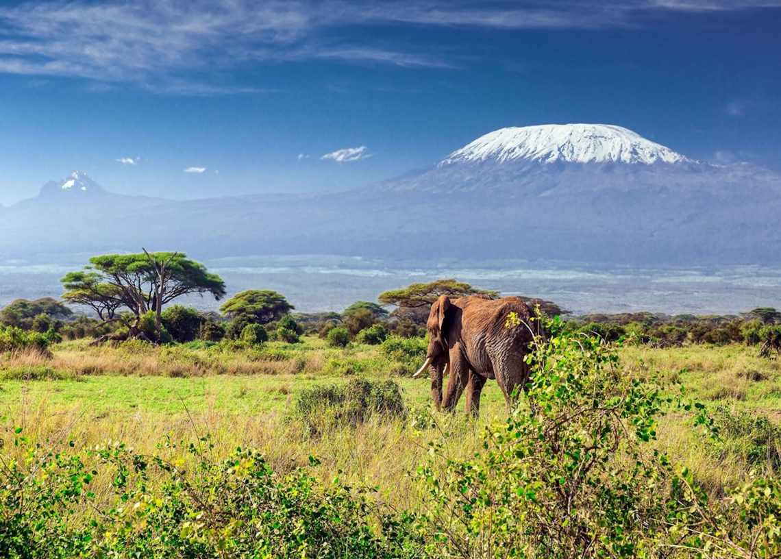 Viaggio a cavallo nel Kilimanjaro