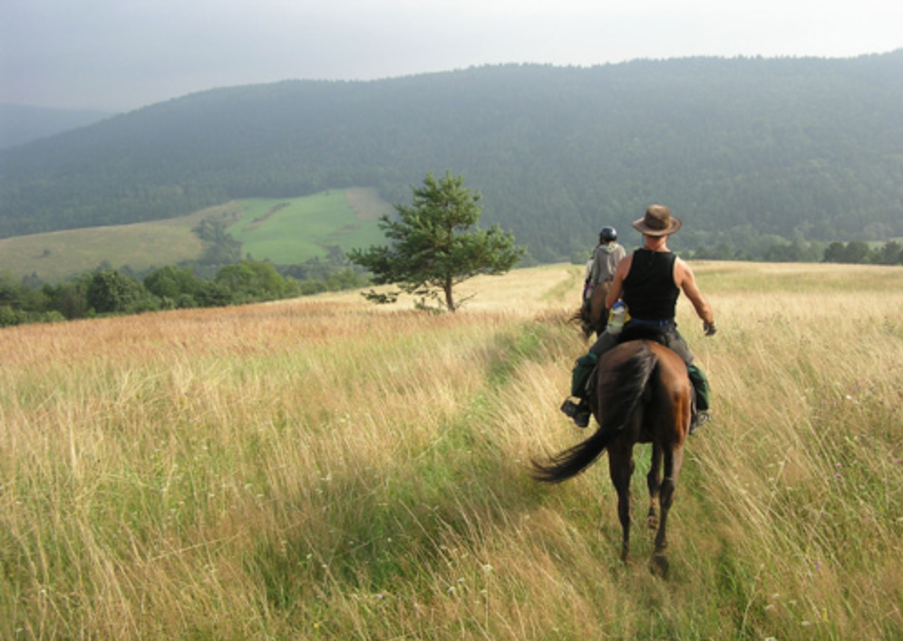 Trekking a cavallo in Polonia