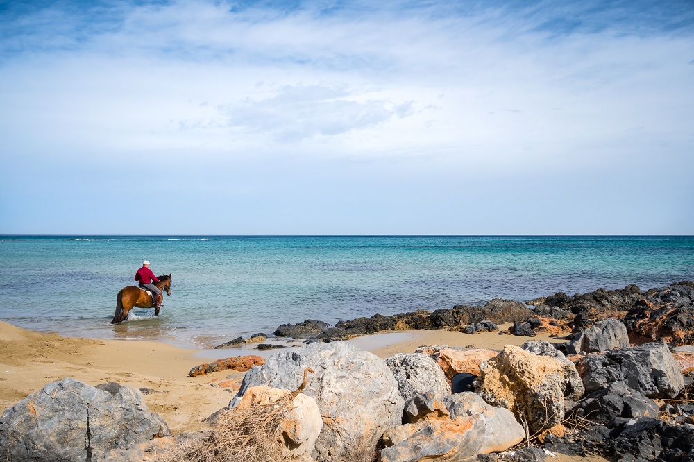 passeggiate a cavallo a Creta