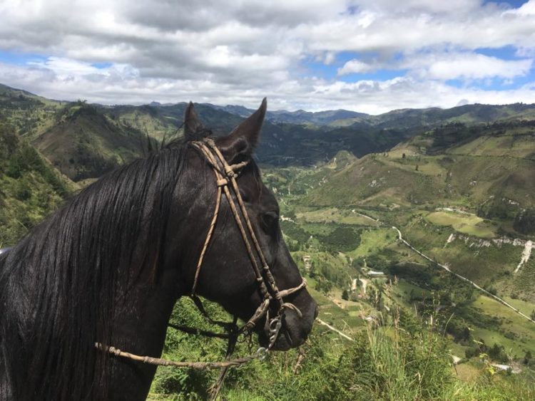 a cavallo in Ecuador
