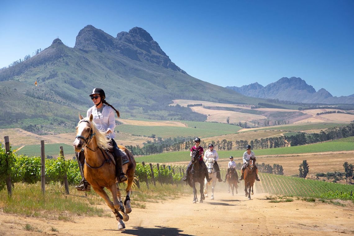 a cavallo in sudafrica