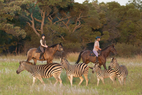 safari a cavallo sudafrica botswana