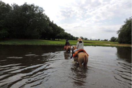 Pantanal a cavallo