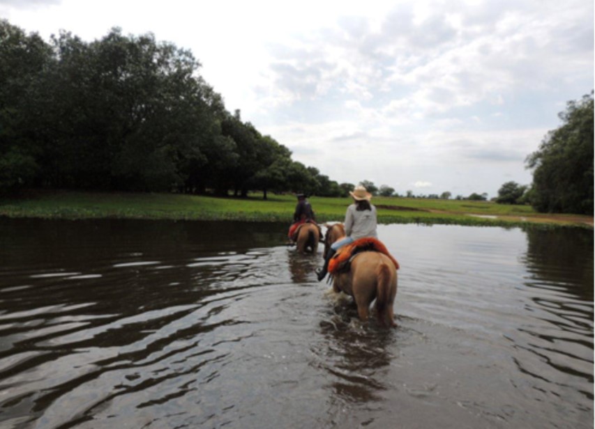 Pantanal a cavallo