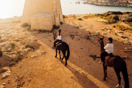 Malta escursioni a cavallo
