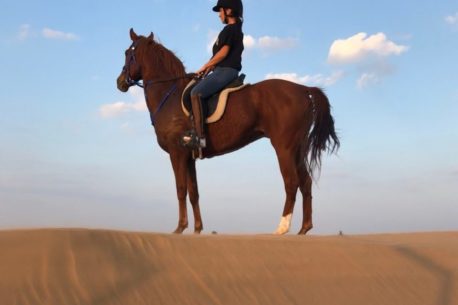 A cavallo a Abu Dhabi