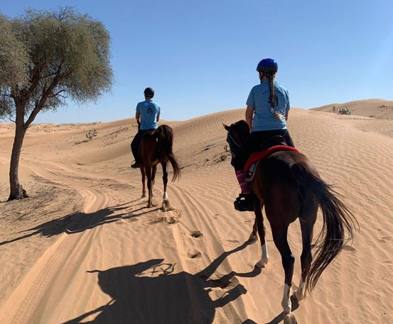 A cavallo a Dubai